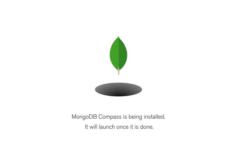 mongodb compass run query
