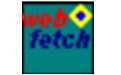 WFetch段首LOGO