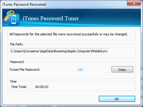 Cocosenor iTunes Password Tuner截图