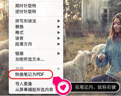 印象笔记