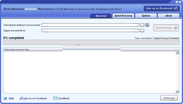 DataNumen Oracle Recovery截图