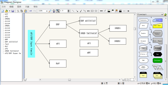 Diagram Designer