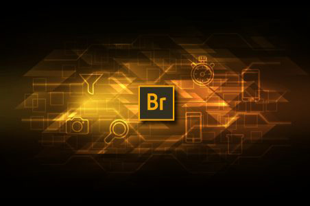 Adobe Bridge CS6截图