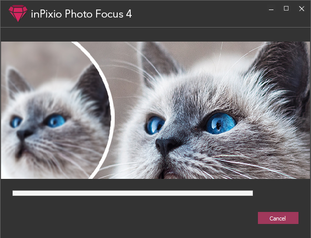 InPixio Photo Focus Pro截图