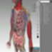 3DBody三维交互解剖软件