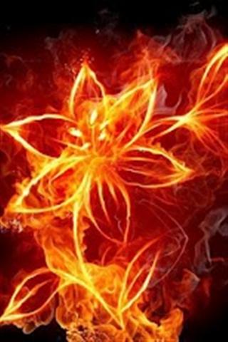 2016-2021年中国火焰数控切割机行业市场发展现状研究及投资战略咨询