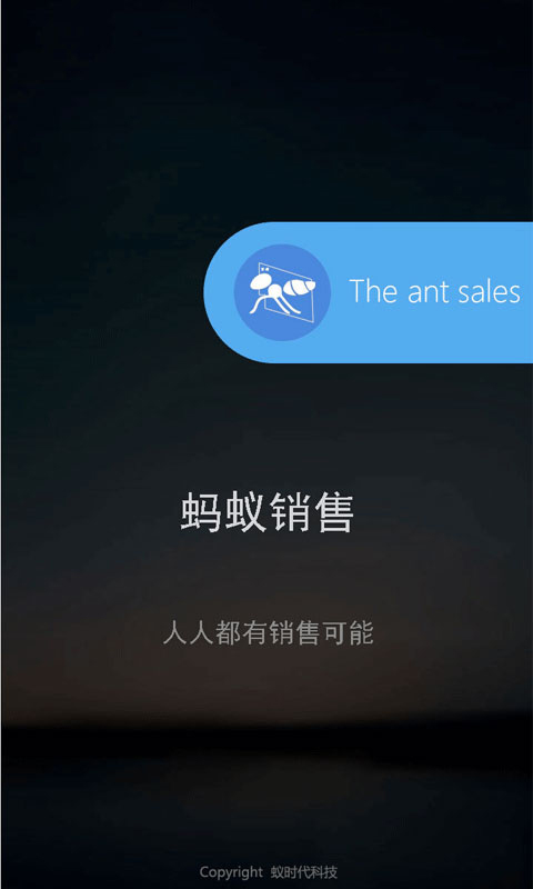 蚂蚁销售
