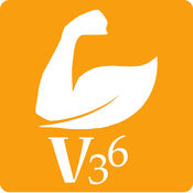 V36平台