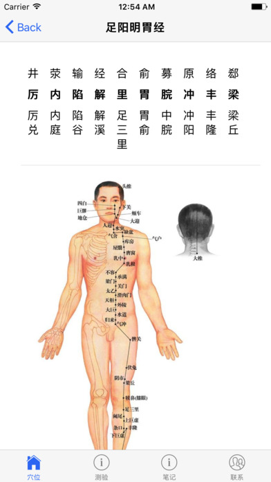 acupuncture notes