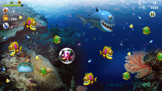 大鱼吃小鱼－经典版