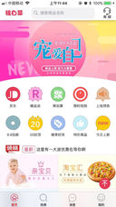 银白菜