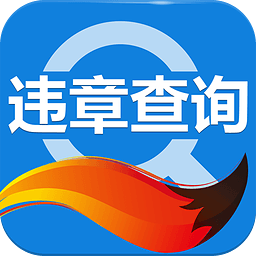 违章查询