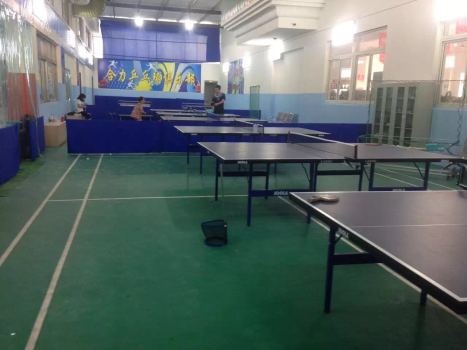 Spb Pong