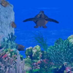 3D Sea Turtle Paradise
