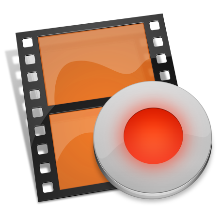 独家指南和关键注意事项