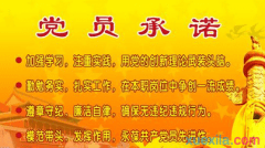 争做优秀党员承诺书范文