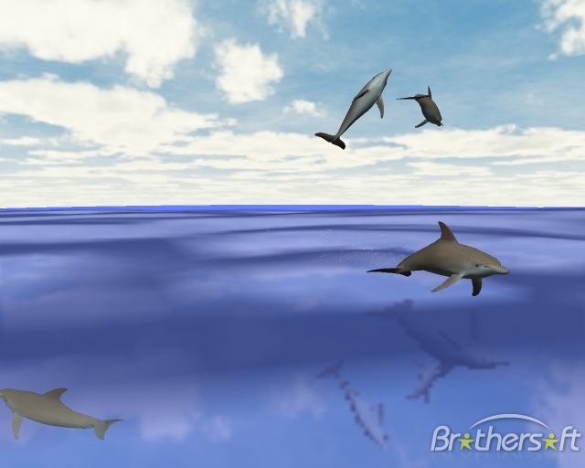 Desktop Dolphins 3D Screen saver