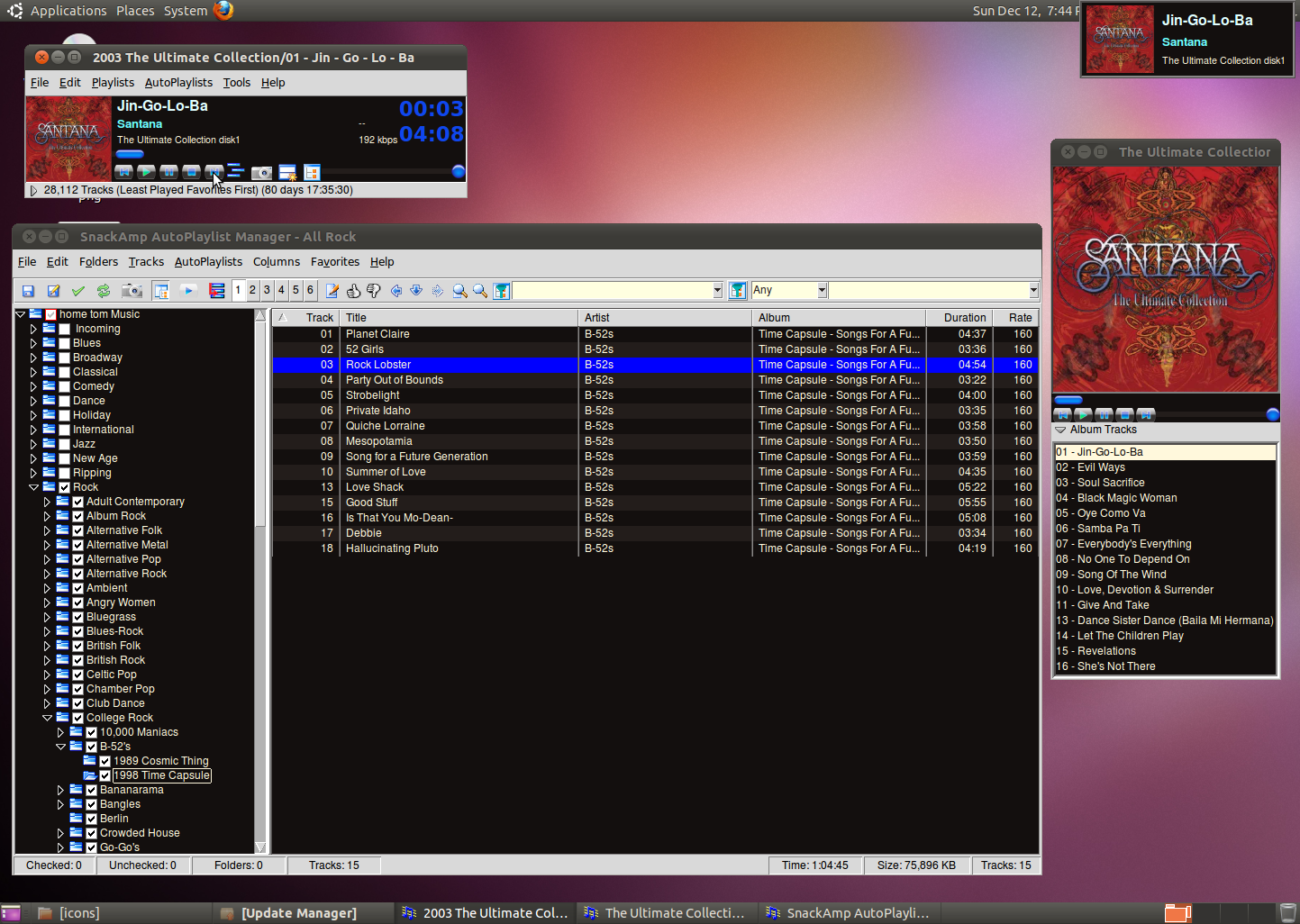 最终实践指南与风险预防战略全面指南