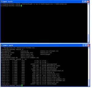 独家安全指南和震撼性内幕全面揭露