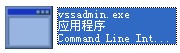 vssadmin.exe截图