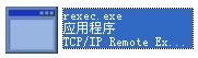 rexec.exe截圖