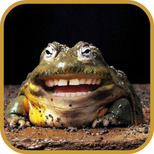 1000例photoshop經典實例