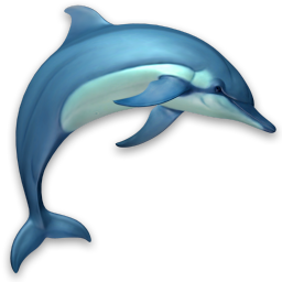 3D Dolphins