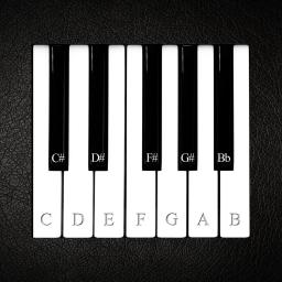 Virtual Piano 2008.06.16